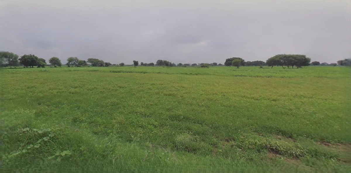 Jhajjar, Haryana 124103, India