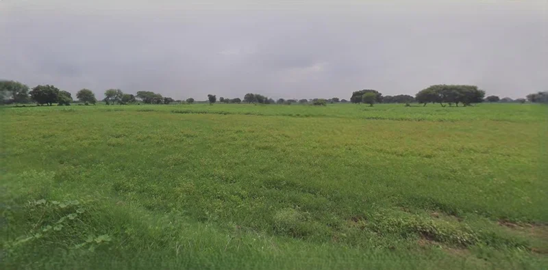 Jhajjar, Haryana 124103, India preview 3