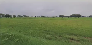 Jhajjar, Haryana 124103, India preview 3