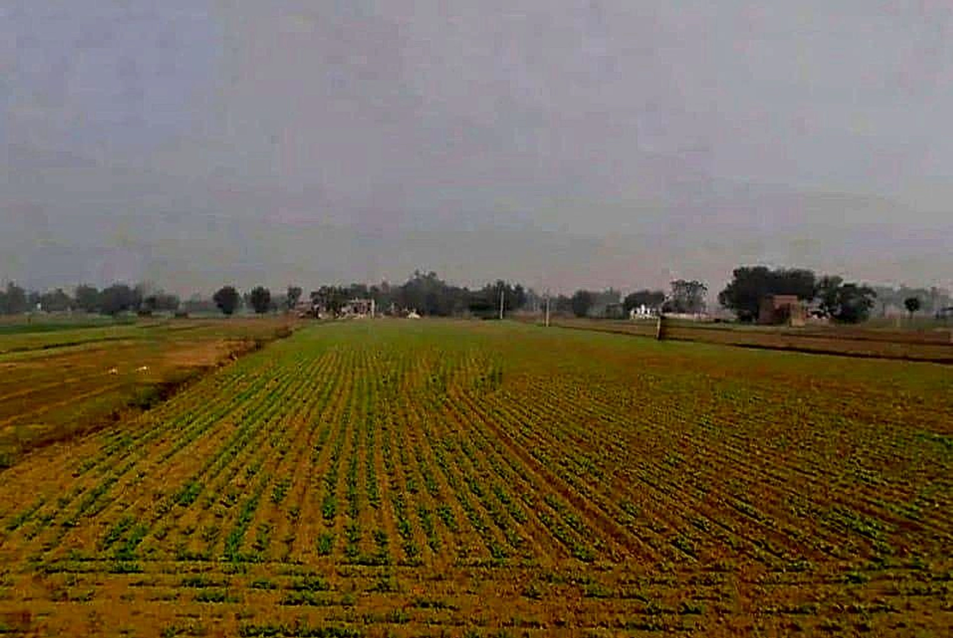 Bikaner - Agra Rd, Govindgarh, Rajasthan 303712, India