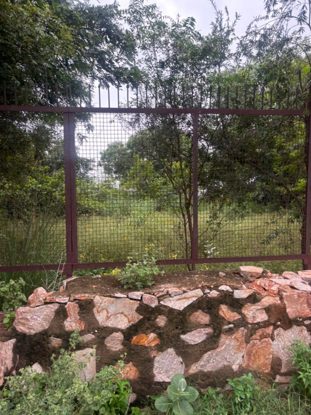 2RFP+JC7, Khairthal-Tijara, Tijara, Rabhana, Rajasthan 301411, India
