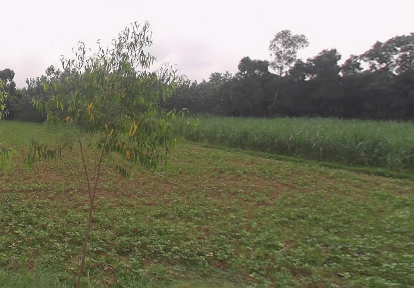 Sarsawa, Uttar Pradesh 247232, India