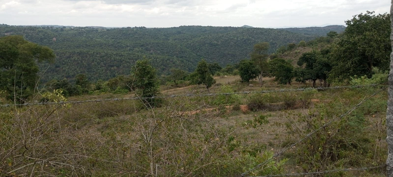 CMH8+6FM, Krishnagiri, Karadikkal, Tamil Nadu, India