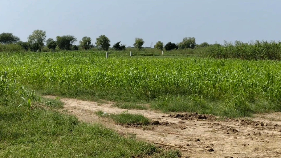 Hodal, Palwal, Haryana, India