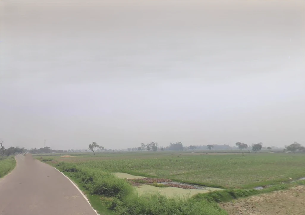 Bilari, Uttar Pradesh 244411, India