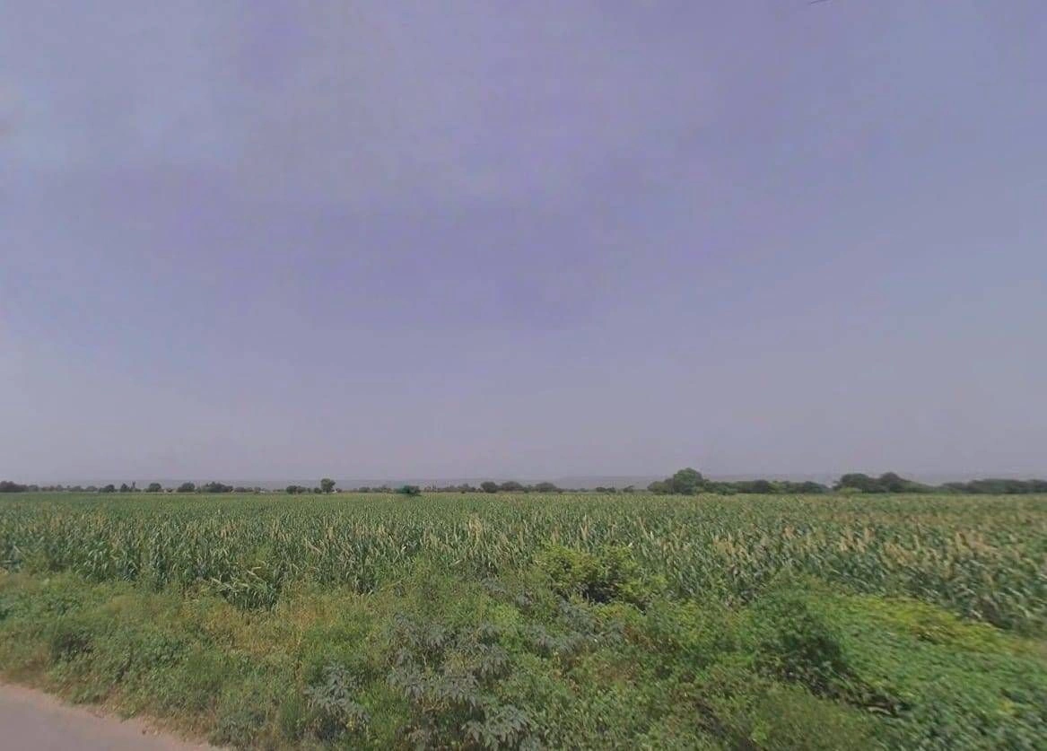 QXQC+XJ Ferozepur Jhirka Rural, Haryana, India preview 2