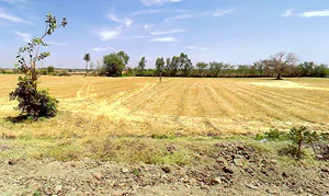 Lakhakhedi Naharpur, Madhya Pradesh 456443, India preview 3