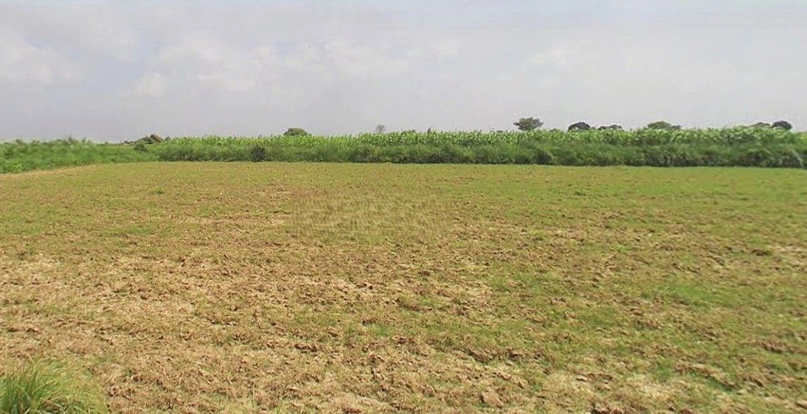 Hasanganj, Uttar Pradesh 209841, India