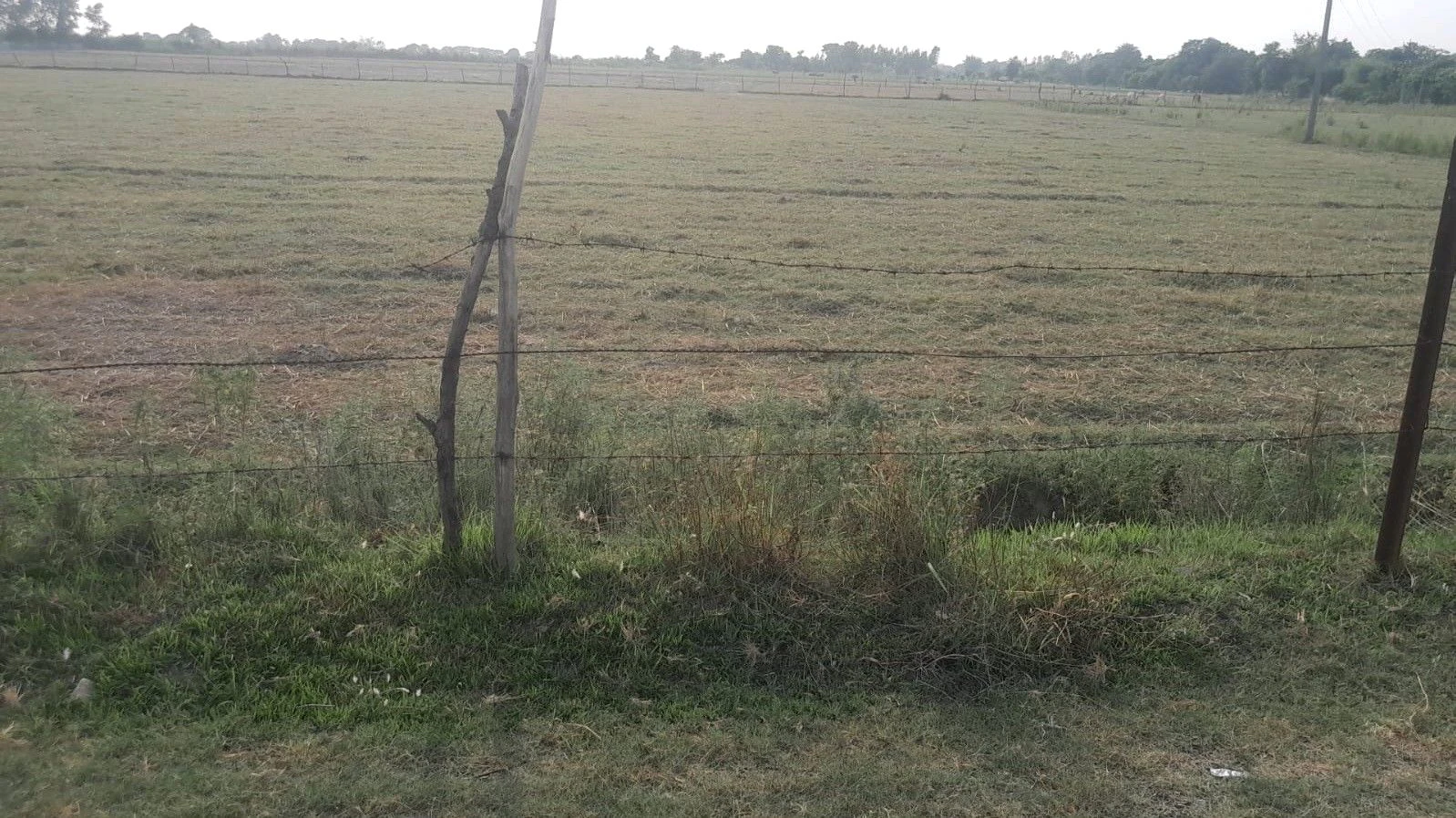 M6R3+4F Mohtashimpur, Uttar Pradesh, India