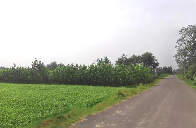 Mahlowali Rd, Badshahpur, Uttar Pradesh 247662, India
