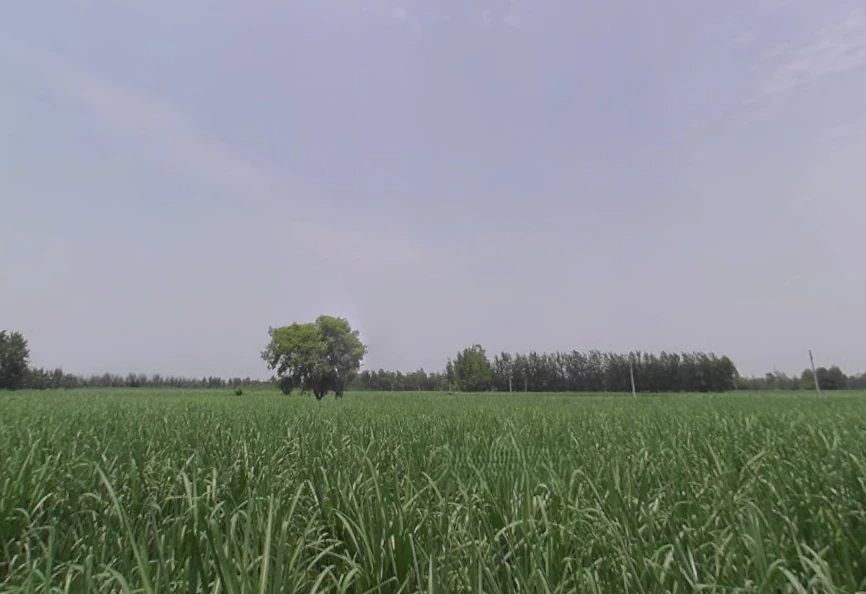 Datiyana, Uttar Pradesh, India