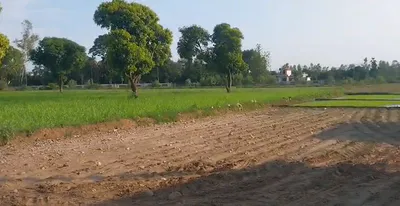 Mirzapur, Saharanpur, Uttar Pradesh 247121, India preview 2