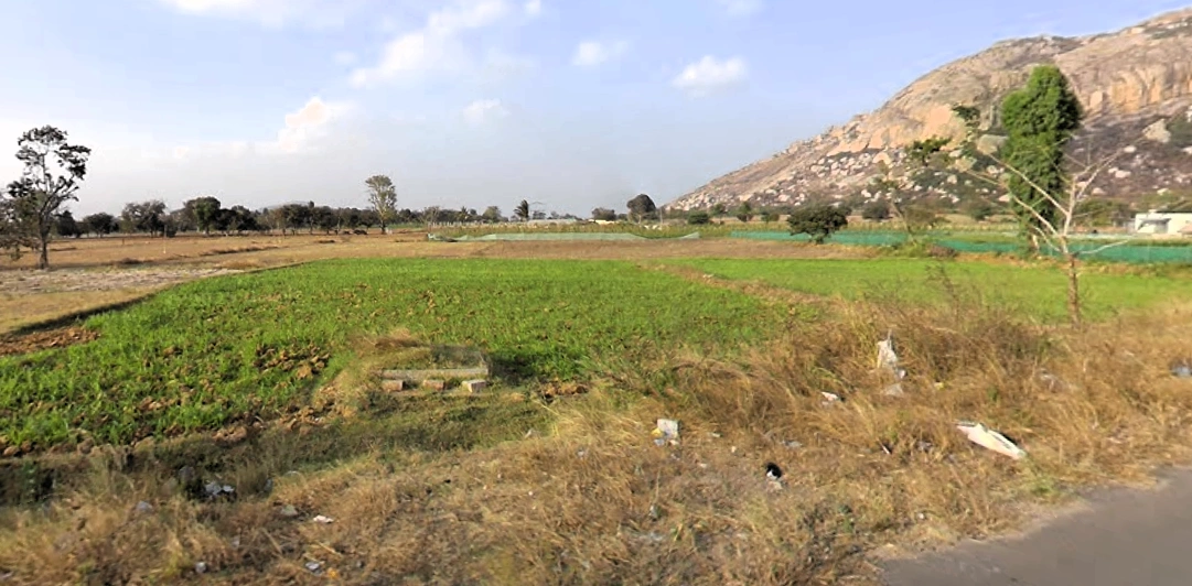 Mulbagal, Karnataka 563131, India