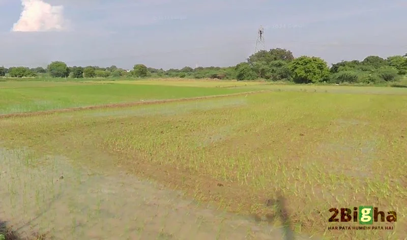 Suraiya Nagar, Madhya Pradesh, India preview 2