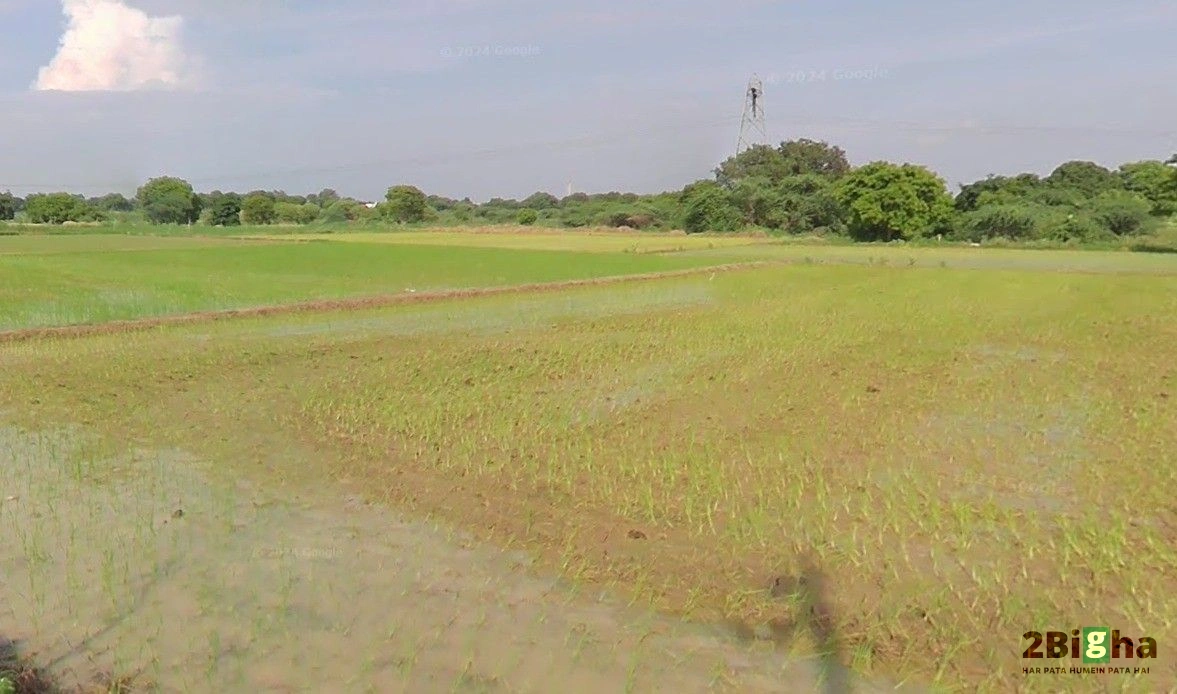 Suraiya Nagar, Madhya Pradesh, India