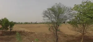 Alwar, Rajasthan, India preview 3