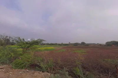 9523+GJ Kuhara, Rajasthan, India preview 3