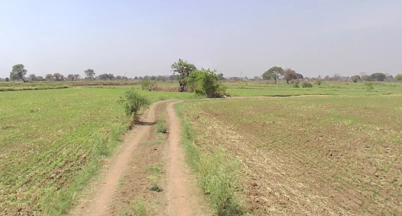 Hardob, Madhya Pradesh 464672, India preview 3