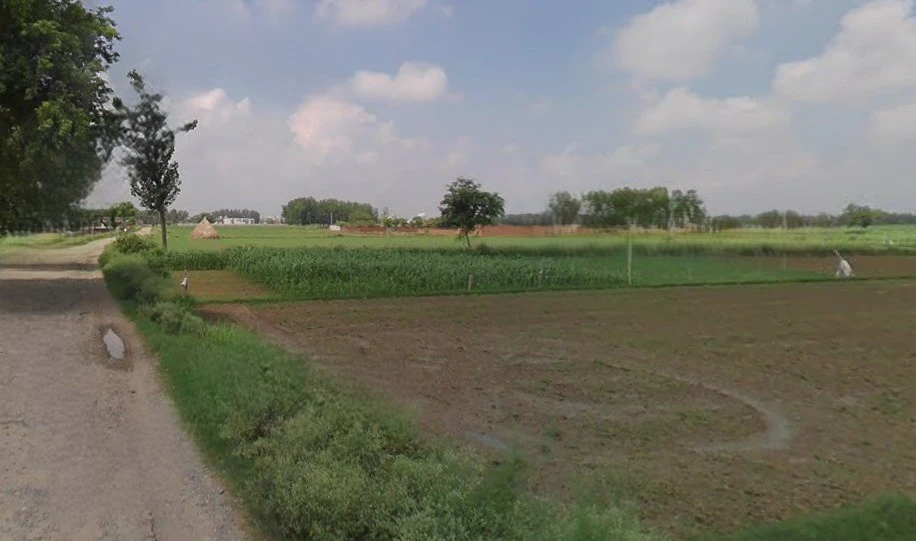 Bareilly, Uttar Pradesh, India