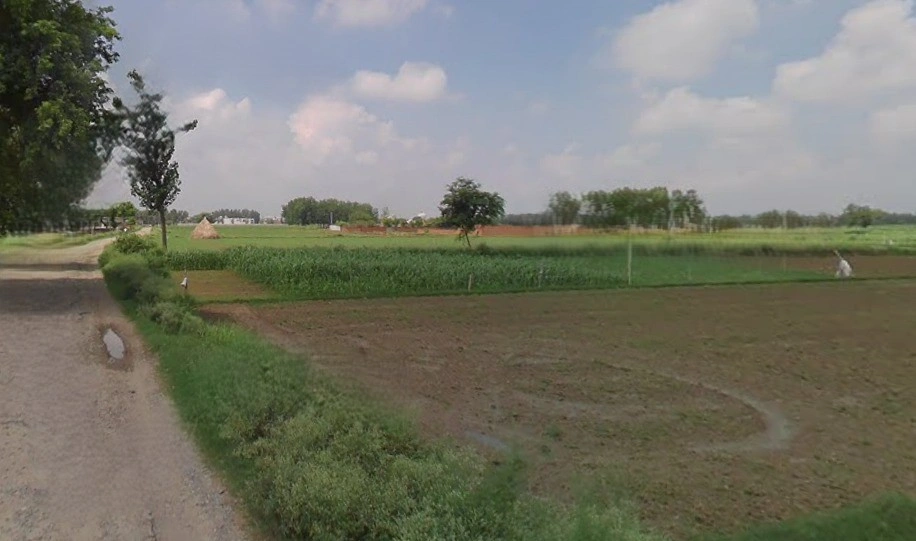 Bareilly, Uttar Pradesh, India