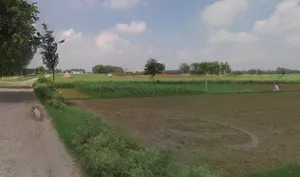 Bareilly, Uttar Pradesh, India preview 2