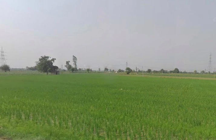Hapur, Uttar Pradesh 245101, India