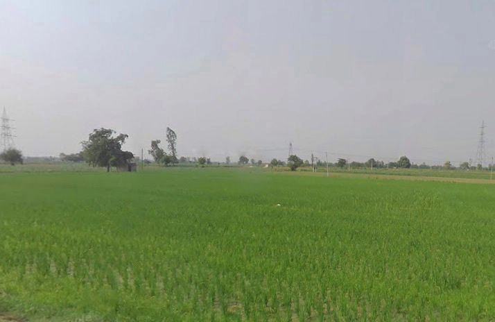 Hapur, Uttar Pradesh 245101, India