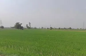 Hapur, Uttar Pradesh 245101, India preview 2