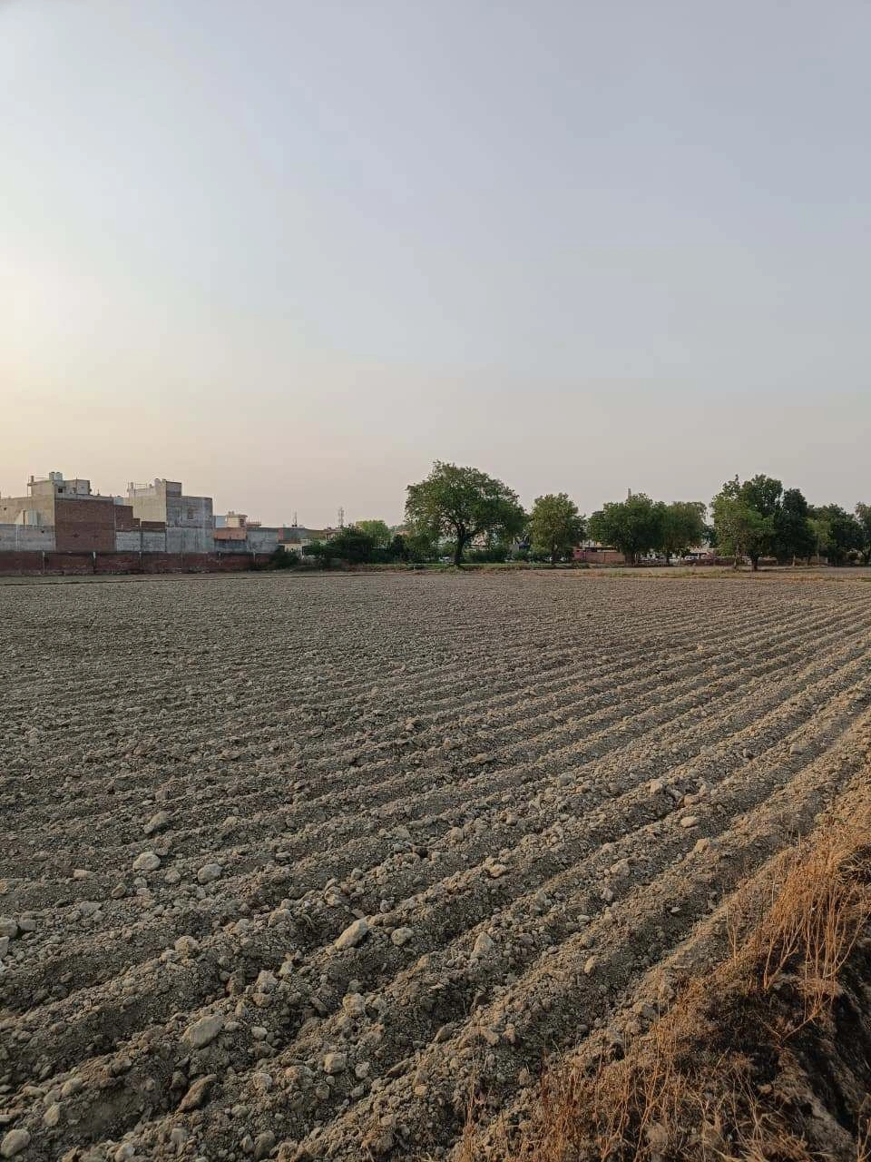 Tentigaon, Uttar Pradesh, India
