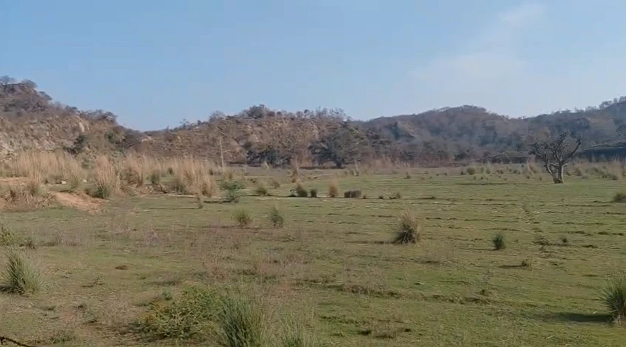 Raipur Rani, Haryana 134204, India