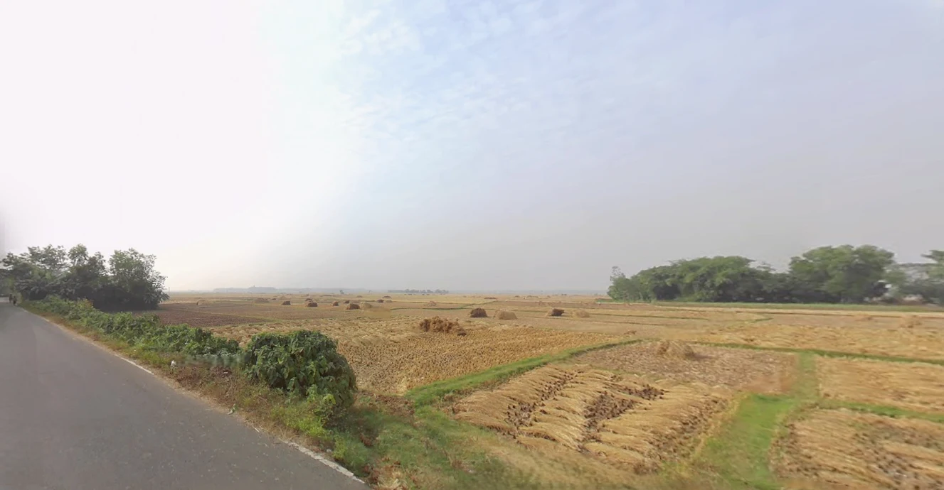 Dakshin Odlabari, West Bengal, India