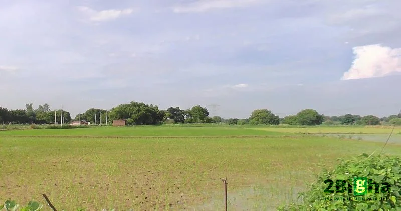 Suraiya Nagar, Madhya Pradesh, India preview 3