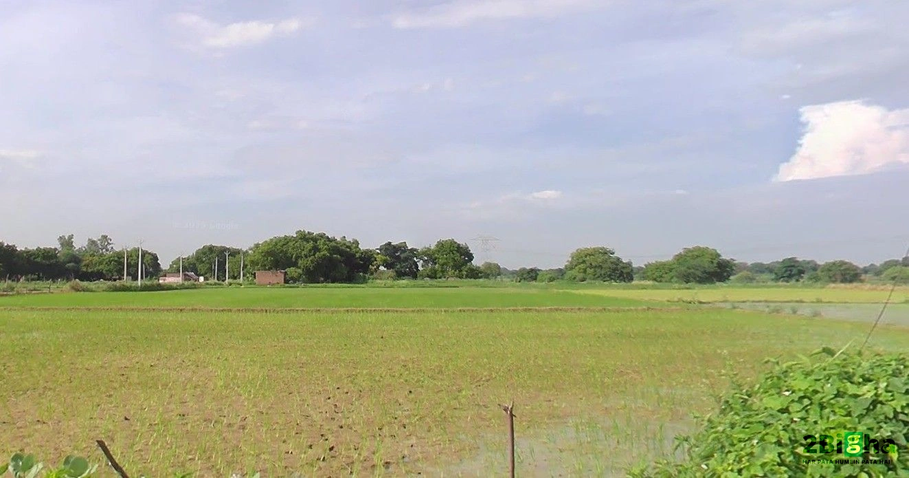 Suraiya Nagar, Madhya Pradesh, India