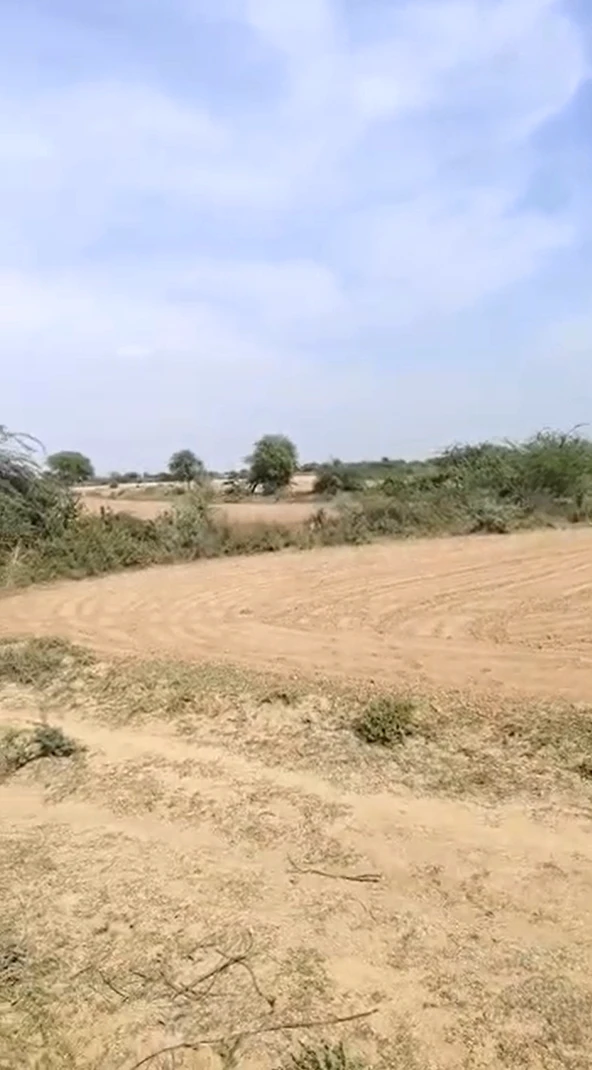 64Q9+HQ Thadoli, Sawai Madhopur, Rajasthan, India
