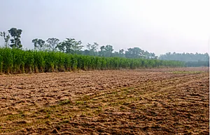 9R47+WX Bannur Rural, Karnataka, India preview 3