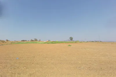 Obuladevaracheruvu, Andhra Pradesh 515561, India preview 2