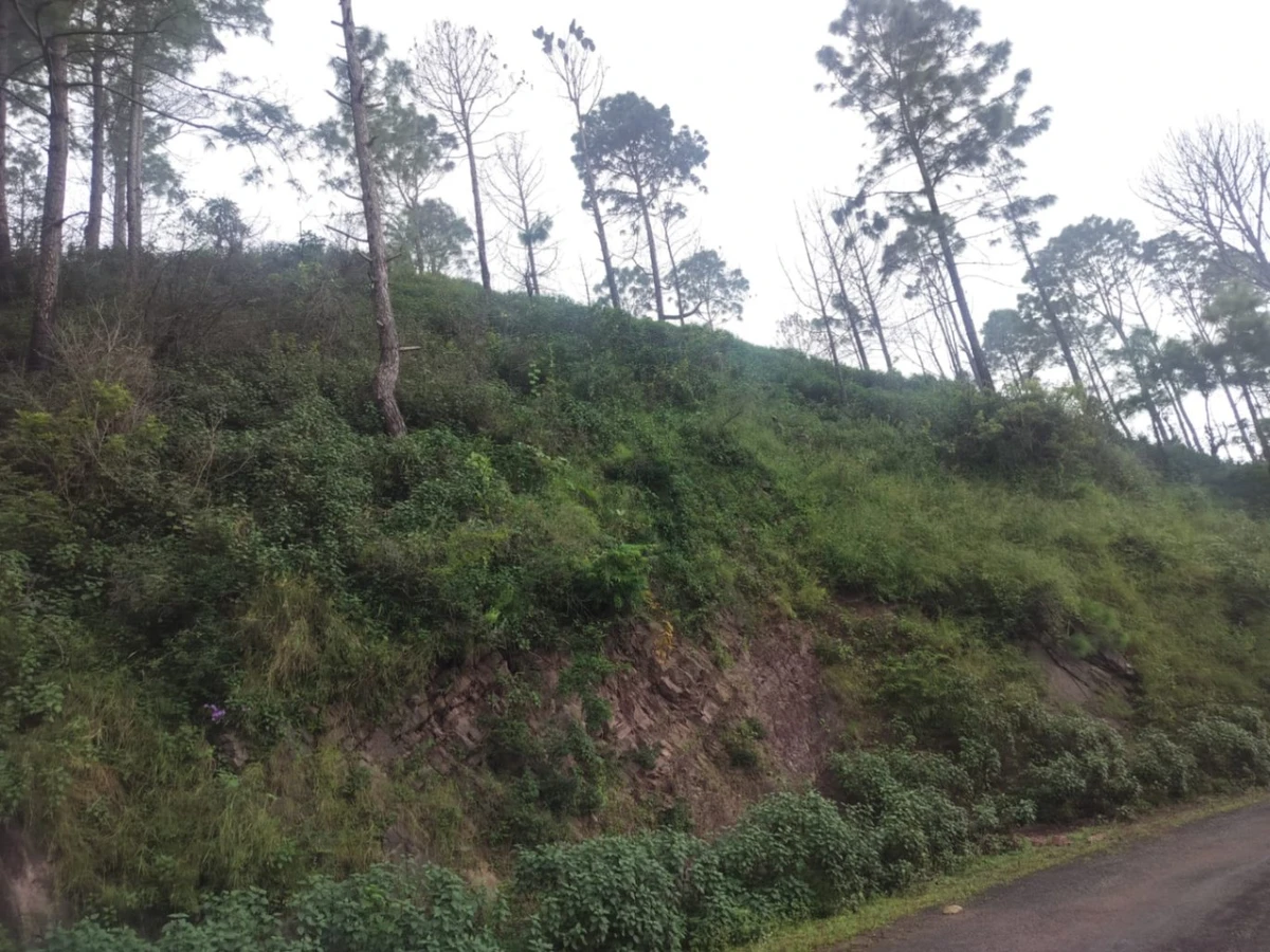 Panjhal, Himachal Pradesh 173001, India