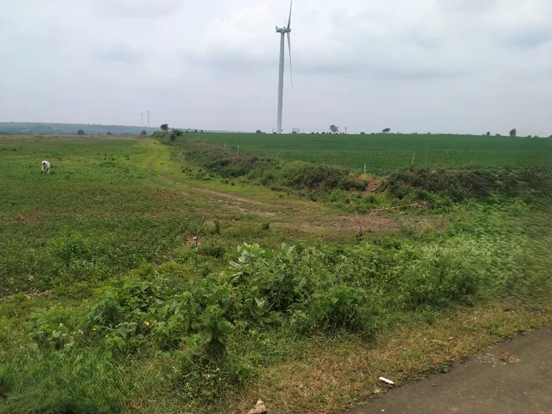 Shajapur, Madhya Pradesh 465001, India preview 2