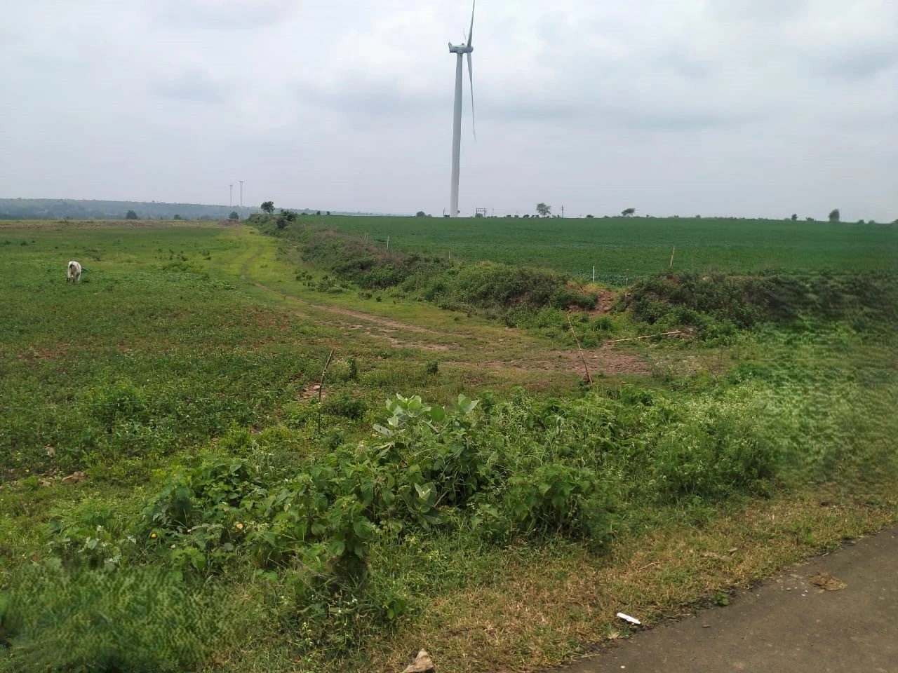 Shajapur, Madhya Pradesh 465001, India