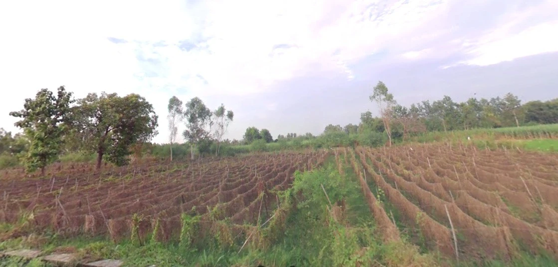 Kanadiya, Madhya Pradesh 452016, India