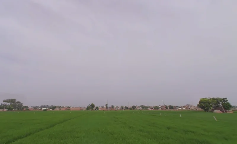 Tohana, Haryana 125120, India preview 2