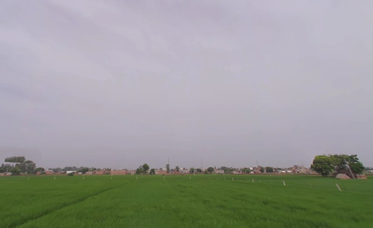 Tohana, Haryana 125120, India