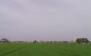 Tohana, Haryana 125120, India preview 2