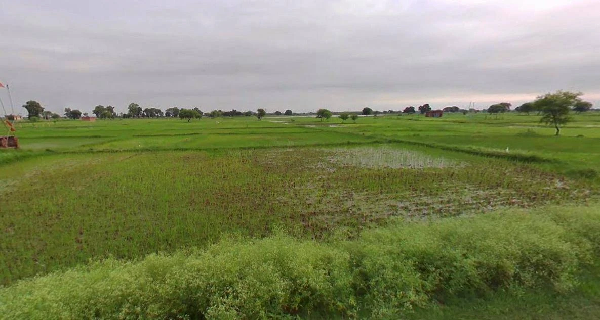 Baund Kalan, Haryana 127025, India