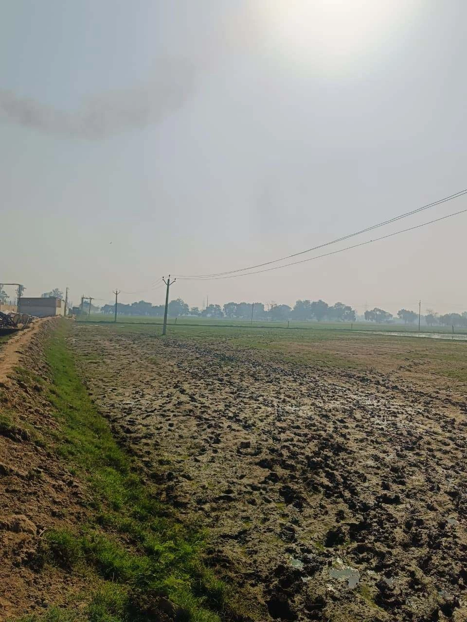 Umari, Mathura, Uttar Pradesh 281123, India - Photo 3