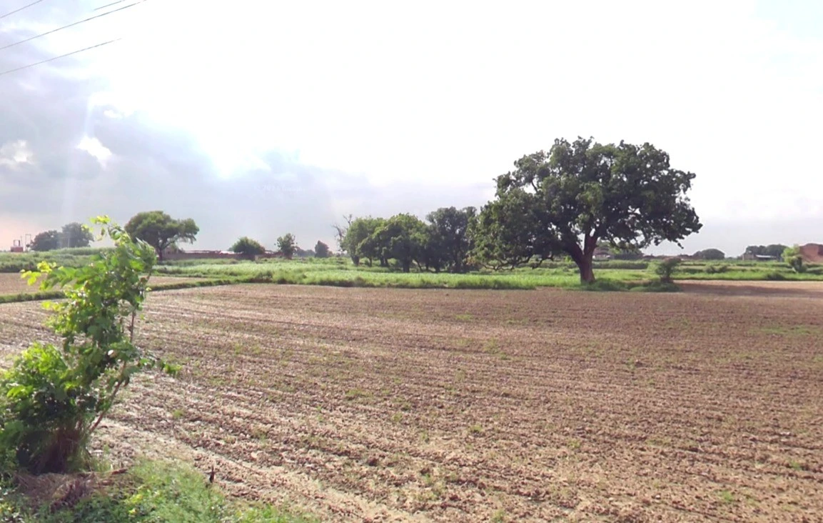 Simrol, Madhya Pradesh 453552, India