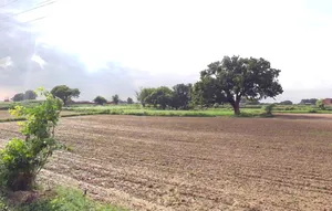 Simrol, Madhya Pradesh 453552, India preview 3