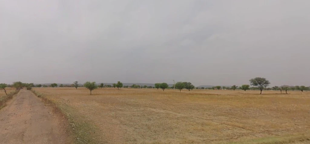 Tiwadiya, Madhya Pradesh 455336, India