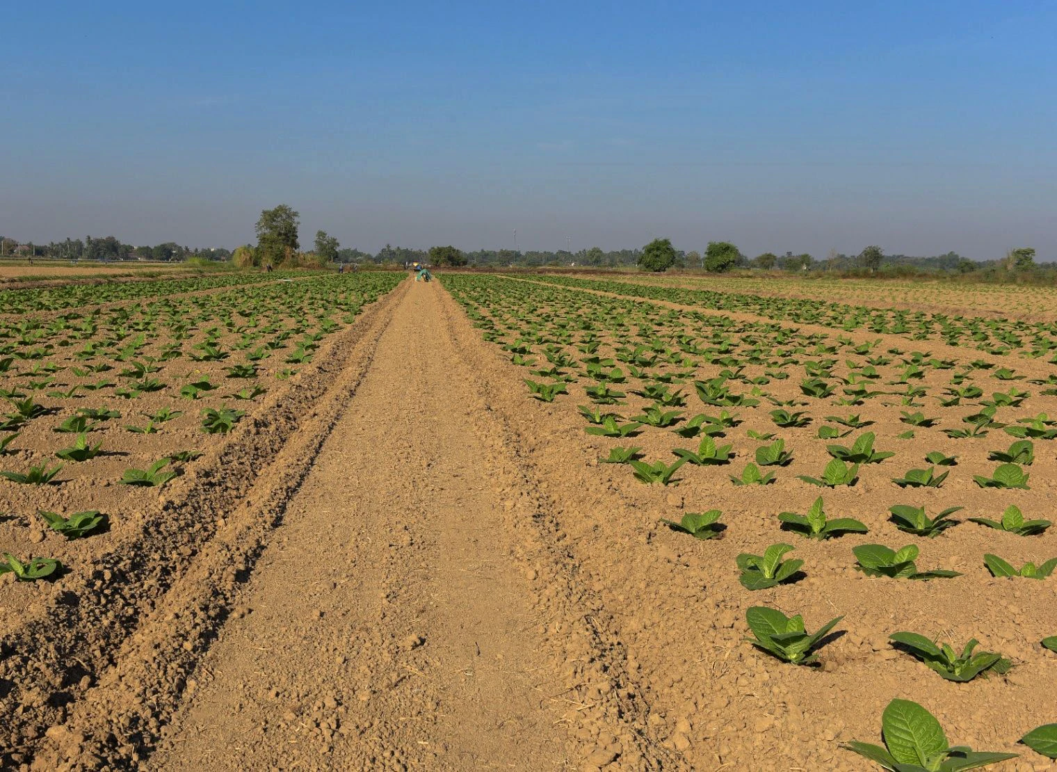 VQPX+VM6, Beechpuri, Rajasthan, India