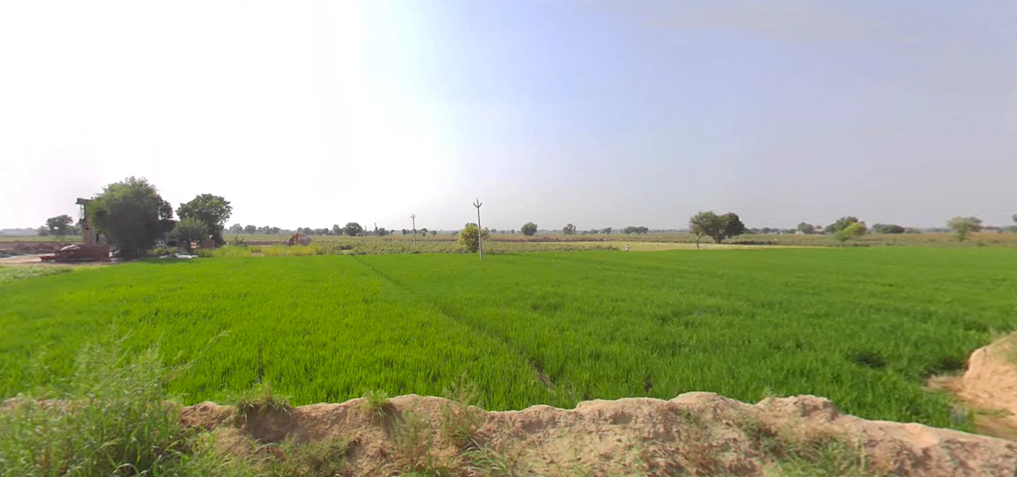 Nuran Khera, Haryana 131302, India